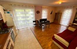 Oportunitate! Apartament cu 2 camere, 57 mp, terasa de 13mp, etaj intermediar, zona Porii