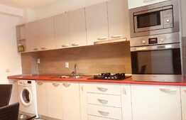 Apartament cu 2 camere, 65 mp, mobilat modern, pet friendly, parcare, zona Calea Turzii