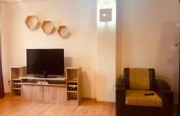 Apartament cu 2 camere, 65 mp, mobilat modern, pet friendly, parcare, zona Calea Turzii