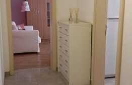 Apartament cu 1 camera, decomandat, 50 mp, parcare, zona strazii Fagului