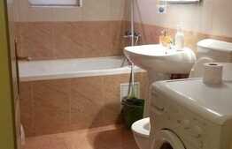 Apartament cu 1 camera, decomandat, 50 mp, parcare, zona strazii Fagului