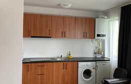 Apartament cu 1 camera, 33 mp, zona strazii Paris