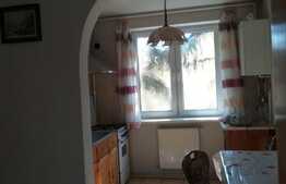 Apartament cu 2 camere, 57 mp, zona strazii Petuniei