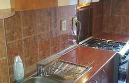 Apartament 1 camera, 32 mp, pet friendly, zona UMF