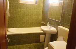 Apartament 1 camera, 32 mp, pet friendly, zona UMF