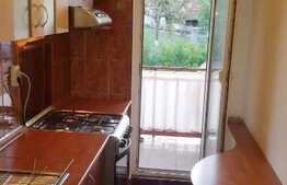 Apartament 1 camera, 32 mp, pet friendly, zona UMF