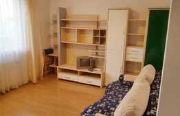 Apartament 1 camera, 32 mp, pet friendly, zona UMF