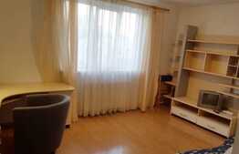 Apartament 1 camera, 32 mp, pet friendly, zona UMF