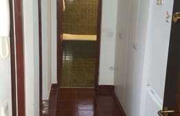 Apartament 1 camera, 32 mp, pet friendly, zona UMF