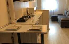 2 camere,  42mp, pet friendly, zona Platinia