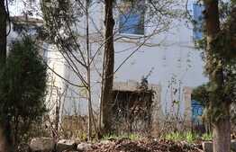  Vila interbelica 310 mp utili , teren 1300 mp, front 25 ml, zona premium!