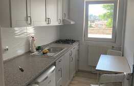 Aparatment cu 1 camera, 35 mp, zona strazii Somesului, Centru