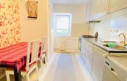 Apartament cu 3 camere, 65 mp, decomandat, mobilat modern, zona strazii Viilor