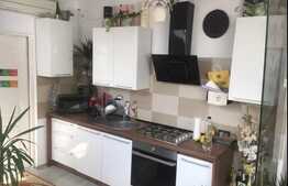 Apartament modern, 2 camere,  zona strazii Fabricii