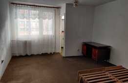 Garsoniera ideala pentru investitie, 28mp + balcon, etaj intermediar , zona Big