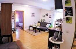 Apartament 2 camere, 45 mp, parcare, in zona strazii Campului