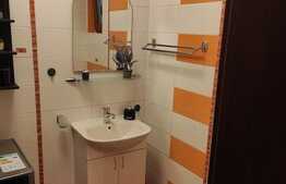 Duplex 4 camere, gradina, 2 locuri de parcare! Zona Muzeul Apei!