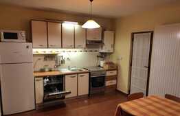 Duplex 4 camere, gradina, 2 locuri de parcare! Zona Muzeul Apei!