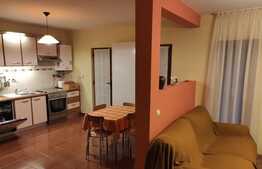 Duplex 4 camere, gradina, 2 locuri de parcare! Zona Muzeul Apei!