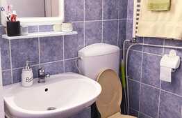 Apartament cu 1 camera, mobilat si utilat, 29 mp utili, zona Farmec