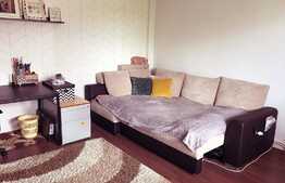 Apartament cu 1 camera, mobilat si utilat, 29 mp utili, zona Farmec