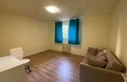 Apartament cu 2 camere, decomandat, Pet-Friendly, zona strazii Horea