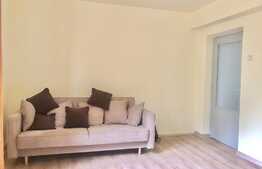 Apartament cu 2 camere, decomandat, Pet-Friendly, zona strazii Horea