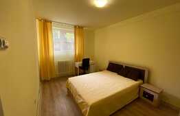 Apartament cu 2 camere, decomandat, Pet-Friendly, zona strazii Horea