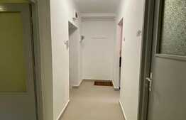 Apartament cu 2 camere, decomandat, Pet-Friendly, zona strazii Horea
