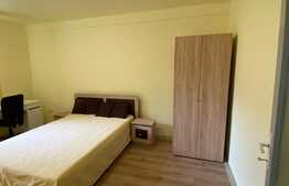 Apartament cu 2 camere, decomandat, Pet-Friendly, zona strazii Horea