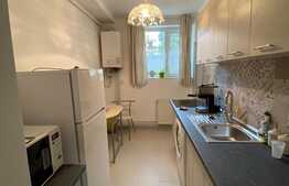 Apartament cu 2 camere, decomandat, Pet-Friendly, zona strazii Horea
