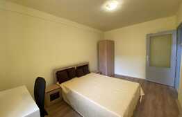 Apartament cu 2 camere, decomandat, Pet-Friendly, zona strazii Horea