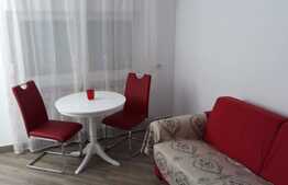 Apartament cu o camera, 22 mp, zona FSEGA