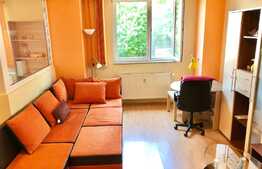 Oportunitate! Apartament cu 2 camere, 60 mp, Pet-Friendly, bloc nou, zona Dorobantilor
