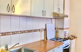 Oportunitate! Apartament cu 2 camere, 60 mp, Pet-Friendly, bloc nou, zona Dorobantilor