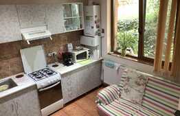 Apartament cu gradina si parcare privata, zona strazii Campului