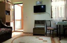 Apartament cu gradina si parcare privata, zona strazii Campului