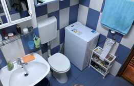 Apartament cu gradina si parcare privata, zona strazii Campului