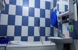 Apartament cu gradina si parcare privata, zona strazii Campului