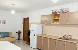 Apartamet 2 camere, semidecomandat, 48 mp, in zona strazii Dunarii
