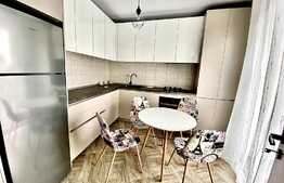 Apartament cu 1 camera, 42mp, garaj, zona Piata Abator