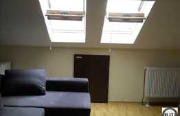 51 mp 2 camere la mansarda la 5 minute de Sigma Center!