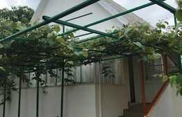 Casa individuala de vanzare, 40 mp utili, 302 mp teren, Dambul Rotund