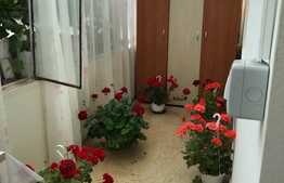 Casa individuala de vanzare, 40 mp utili, 302 mp teren, Dambul Rotund