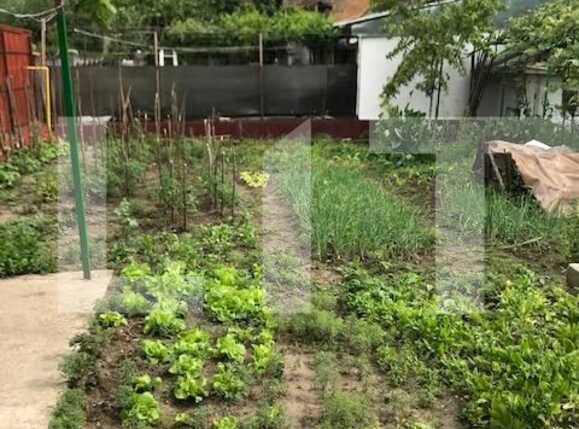 Casa de vânzare 2 camere Dambul Rotund - 51303CV | BLITZ Cluj-Napoca | Poza6