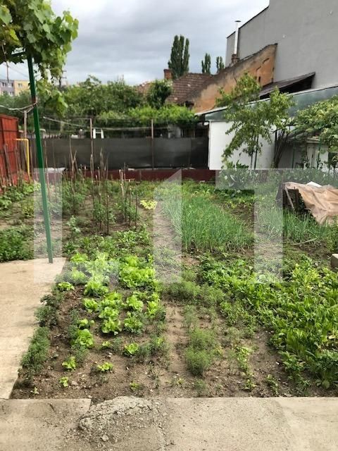 Casa de vânzare 2 camere Dambul Rotund - 51303CV | BLITZ Cluj-Napoca | Poza6