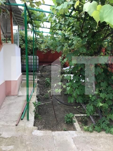 Casa de vânzare 2 camere Dambul Rotund - 51303CV | BLITZ Cluj-Napoca | Poza4