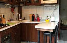 Oportunitate! Casa individuala 272 mp utili, teren 569 mp, zona strazii Constantin Brancusi 