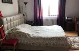 Oportunitate! Casa individuala 272 mp utili, teren 569 mp, zona strazii Constantin Brancusi 