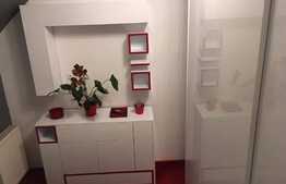 Apartament cu 2 camere, 40 mp, modern, loc de parcare, petfriendly, in zona strazii Dunarii